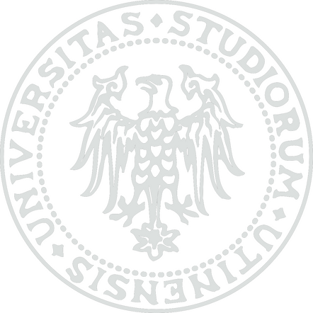 University of Udine